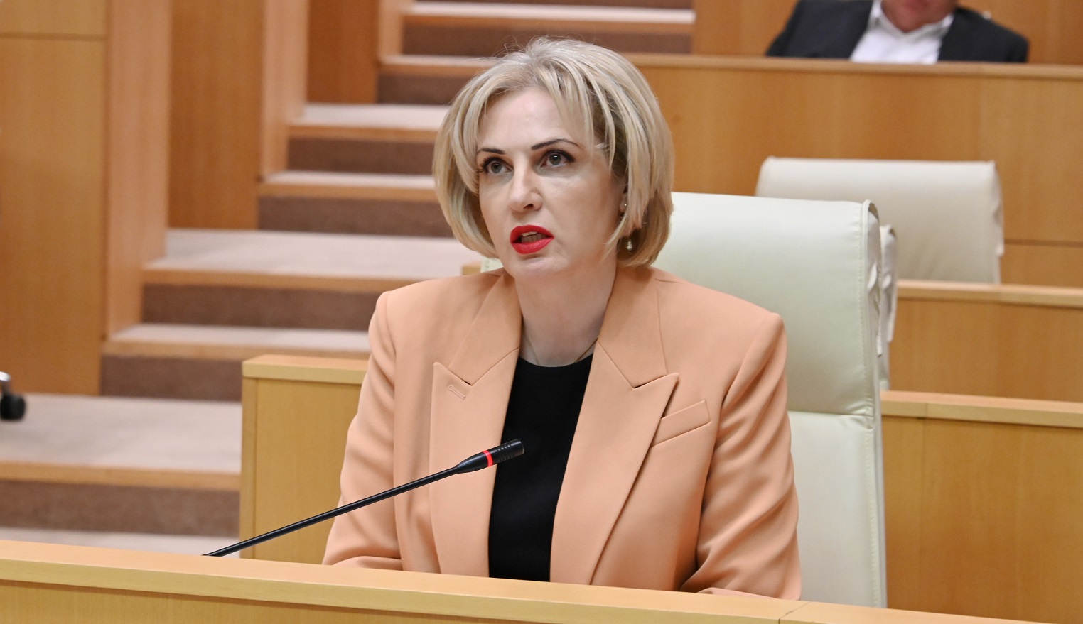 ეკა სეფაშვილი: საქართველომ ერთხელ და სამუდამოდ უნდა გააჯანსაღოს პოლიტიკური ველი და დაცალოს ის არა პოლიტიკური ოპოზიციისგან, არამედ გარე ძალების მიერ მართული აგენტებისგან