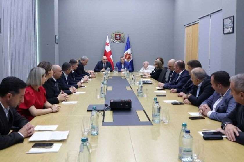 რატი იონათამიშვილმა შეზღუდული შესაძლებლობის მქონე პირთა უფლებების საკითხებზე მომუშავე საკონსულტაციო ჯგუფის შეხვედრაში მიიღო მონაწილეობა