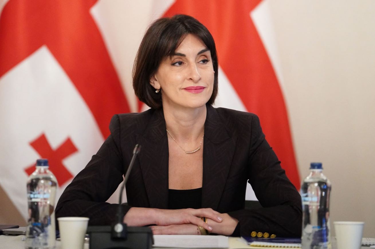 მაკა ბოჭორიშვილი: ვიცით, რამდენად დამანგრეველი შეიძლება იყოს ოკუპაციის გავლენა, გამოცდილებიდან გამომდინარე, საქართველო განსაკუთრებულ მნიშვნელობას ანიჭებს საერთაშორისო სამართლის პატივისცემას