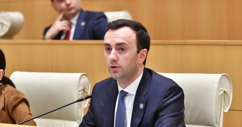 ლევან მახაშვილი: დღეს ევროკავშირის რამდენიმე წევრ ქვეყანას მონოპოლიზებული აქვს საქართველოს მიმართ ბრიუსელის საგარეო პოლიტიკა - ობიექტური შეფასებისა და სამართლიანი დამოკიდებულების პირობებში კი თბილისსა და ბრიუსელს შორის დიალოგს წინ ვერაფერი დაუდგება