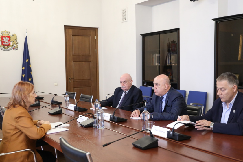 ჯანმრთელობის დაცვისა და სოციალურ საკითხთა კომიტეტის წევრები სკოლის ექიმთა ასოციაციის პრეზიდენტს შეხვდნენ