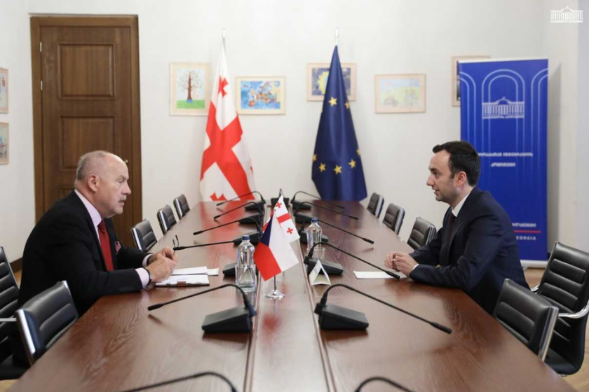 ლევან მახაშვილი ჩეხეთის ელჩს შეხვდა