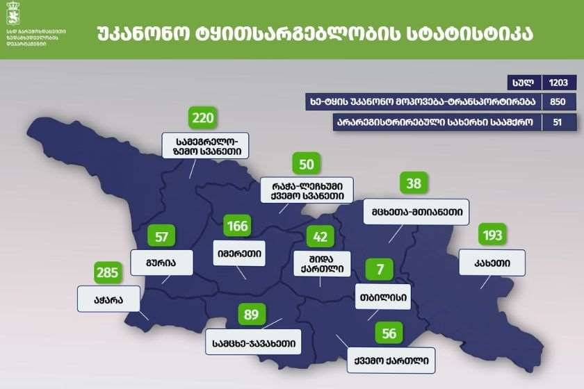 გარემოსდაცვითი ზედამხედველობის დეპარტამენტმა 9 თვეში უკანონო ტყითსარგებლობის 1203 ფაქტი გამოავლინა