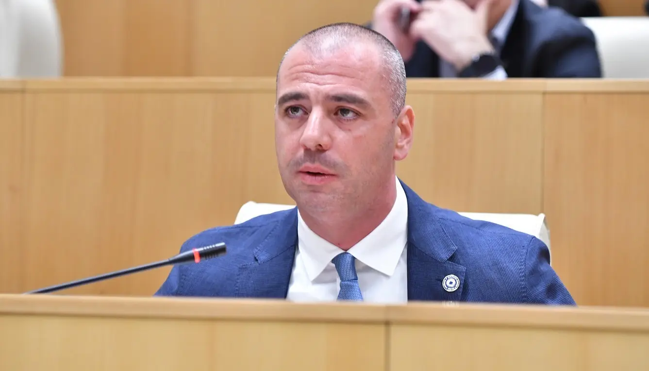 ვერც ნანუკა ჟორჟოლიანი უშველის და ვერავინ უშველის დედამიწის ზურგზე, ისეთ დღეში არიან - ლევან მაჭავარიანი ენმ-ზე
