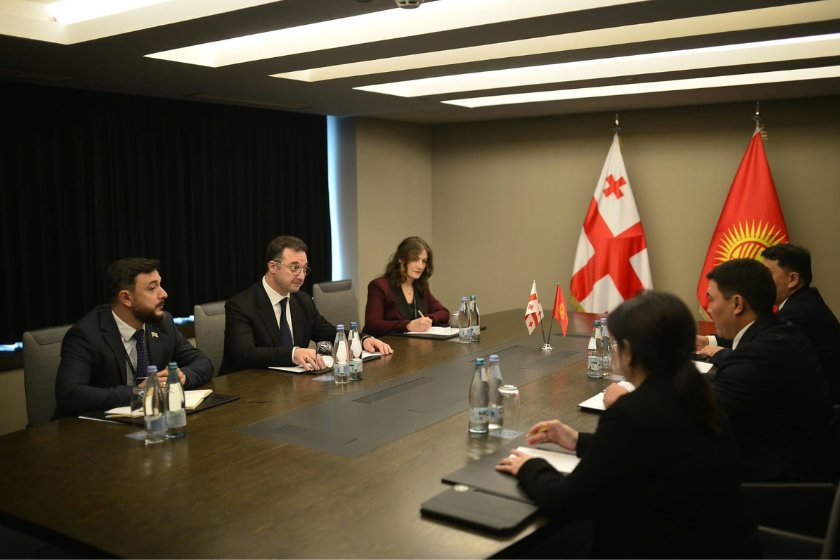 დავით სონღულაშვილი ყირგიზეთის ბუნებრივი რესურსების, ეკოლოგიისა და ტექნიკური ზედამხედველობის მინისტრს შეხვდა