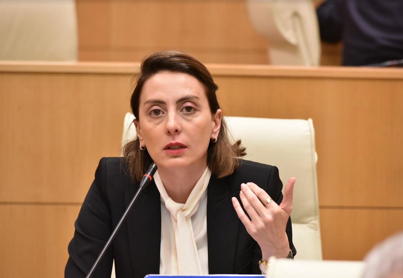 ხატია დეკანოიძე – ერთ დროს რეგიონის ლიდერი ქვეყანა, ახლა კანდიდატის სტატუსს ვინარჩუნებთ მხოლოდ ფურცელზე, საქართველოში ძლიერდება რუსული გავლენები და ეს არის დადასტურებული გაფართოების ანგარიშში