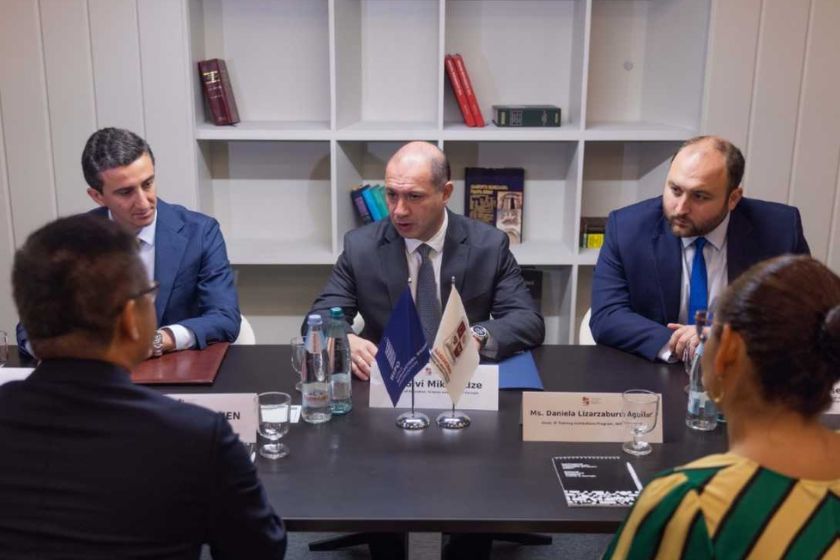 გივი მიქანაძე ინტელექტუალური საკუთრების მსოფლიო ორგანიზაციის (WIPO) აკადემიის დირექტორს შეხვდა