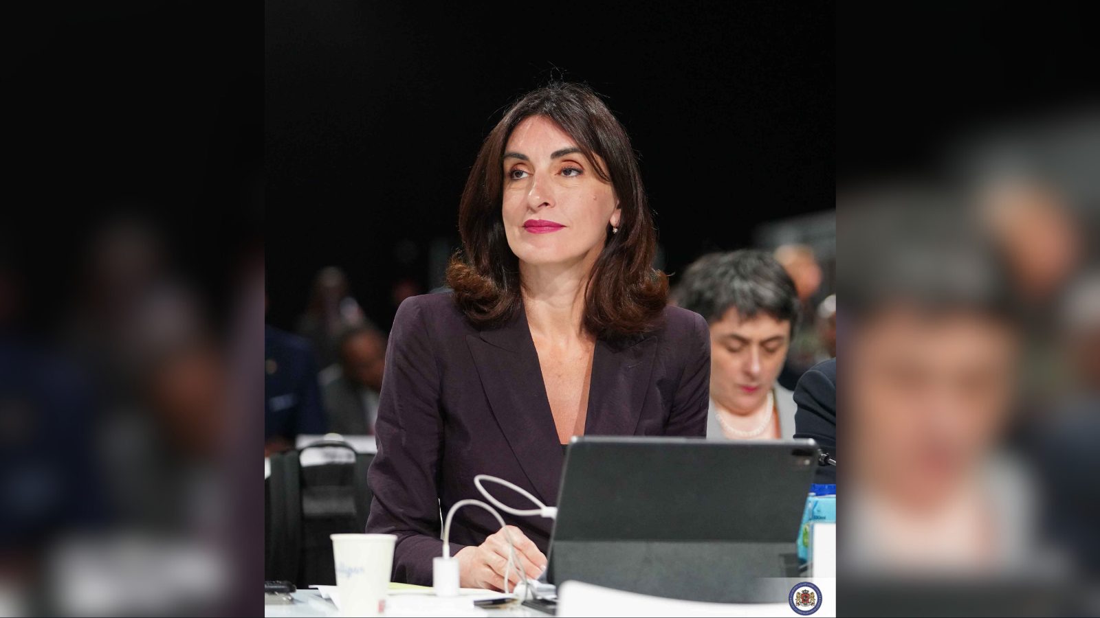 მაკა ბოჭორიშვილი აბუ დაბიში კონფერენციაში Raisina Middle East-ი მიიღებს მონაწილეობას