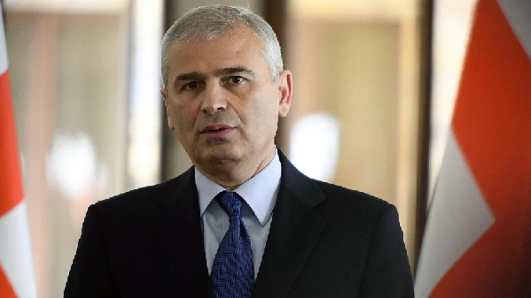ირაკლი ქადაგიშვილი: ფაქტია, რომ ელჩები დაკავებულები არიან საქართველოში პოლიტიკური პროცესის მართვით, მაგრამ ყოველ ჯერზე მათი ეს მცდელობა დამთავრდა დემოკრატიისთვის საზიანოდ და ოპოზიციის გამანადგურებელი შედეგებით