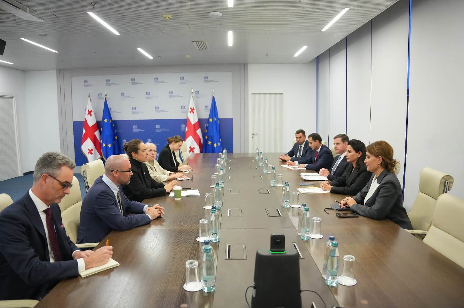 მარიამ ქვრივიშვილი აშშ-ის საერთაშორისო განვითარების საფინანსო კორპორაციის პოლიტიკის მიმართულების ხელმძღვანელს ქეროლაინ ვიკს შეხვდა