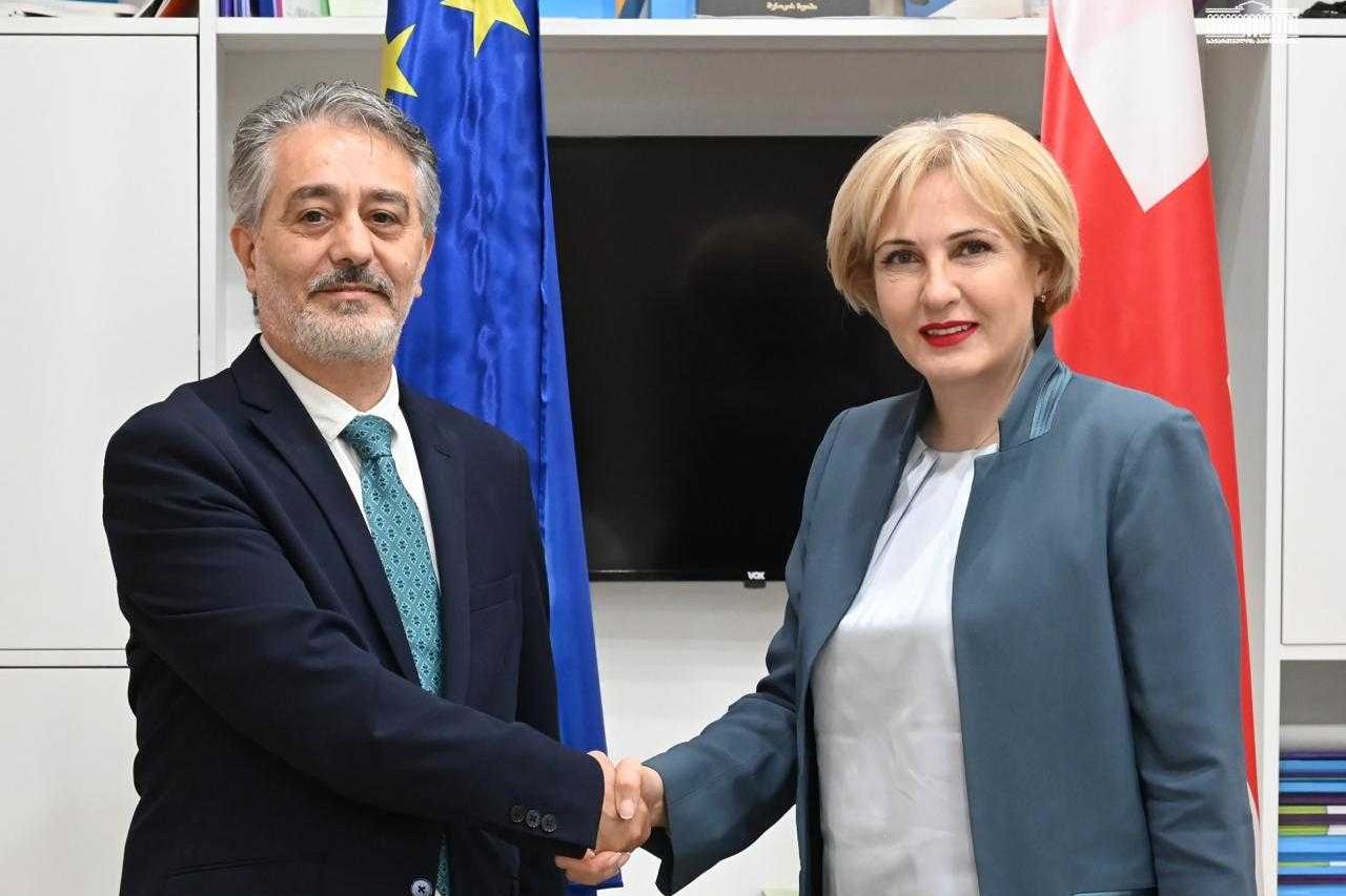 ეკა სეფაშვილი ისრაელის ელჩს შეხვდა