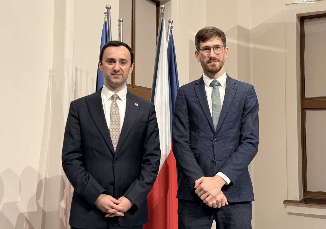 საქართველოს საპარლამენტო დელეგაციამ ჩეხეთის მთავრობის ევროპულ საქმეთა სექციის წარმომადგენლებთან შეხვედრა გამართა