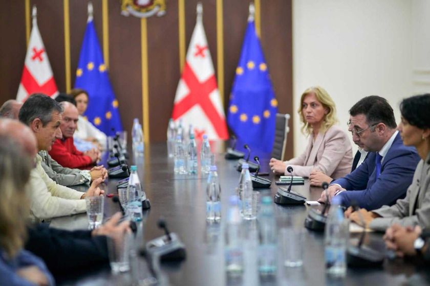 დავით სონღულაშვილი „EMaVE”-ის კონსორციუმის წარმომადგენლებს შეხვდა