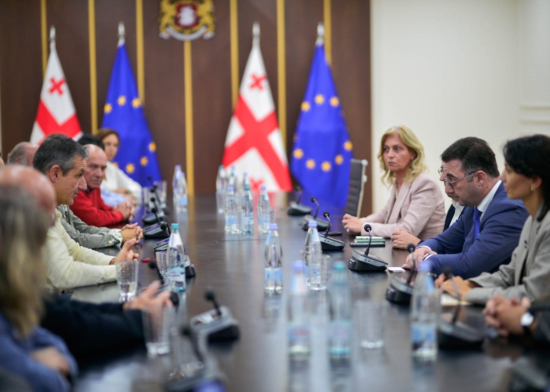 დავით სონღულაშვილი „EMaVE”-ის კონსორციუმის წარმომადგენლებს შეხვდა