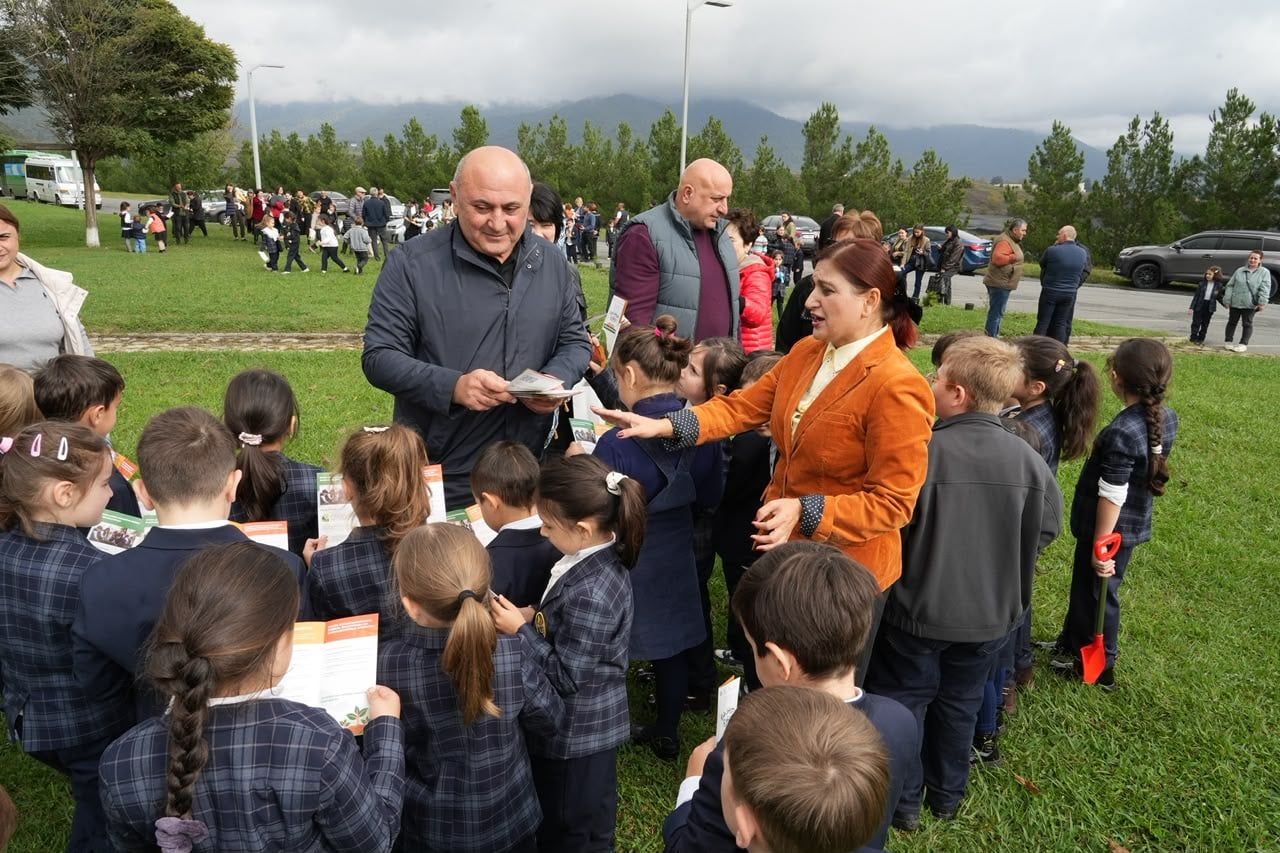 საქართველოს მთავრობის ინიციატივით მიმდინარე პროგრამის, „ჩემი პირველი ნერგის“ ფარგლებში, გამწვანების ღონისძიებები ქვეყნის რამდენიმე ქალაქში გაიმართა