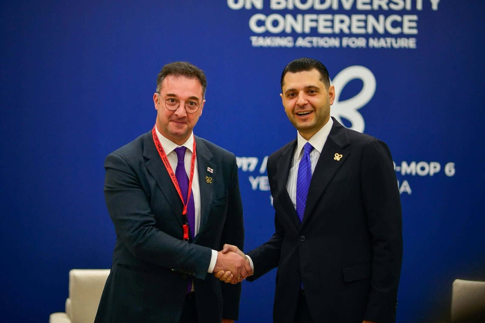 დავით სონღულაშვილი სომხეთის გარემოს დაცვის მინისტრს შეხვდა