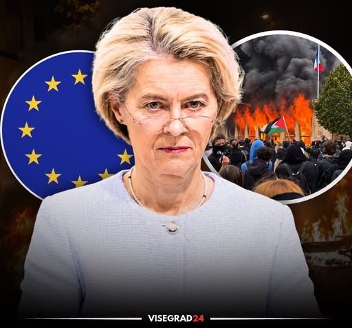 მედია: საფრანგეთსა და იტალიაში საპროტესტო აქციების მხარდაჭერასა და ორგანიზებაში ჩართული ხუთი ორგანიზაცია და პროფკავშირი ევროკავშირის დაფინანსებას იღებდა
