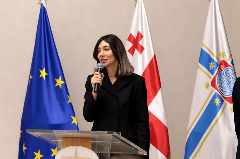 თინათინ ნიბლოშვილმა 2025–2026 წლების საქმიანობის ანგარიში წარადგინა